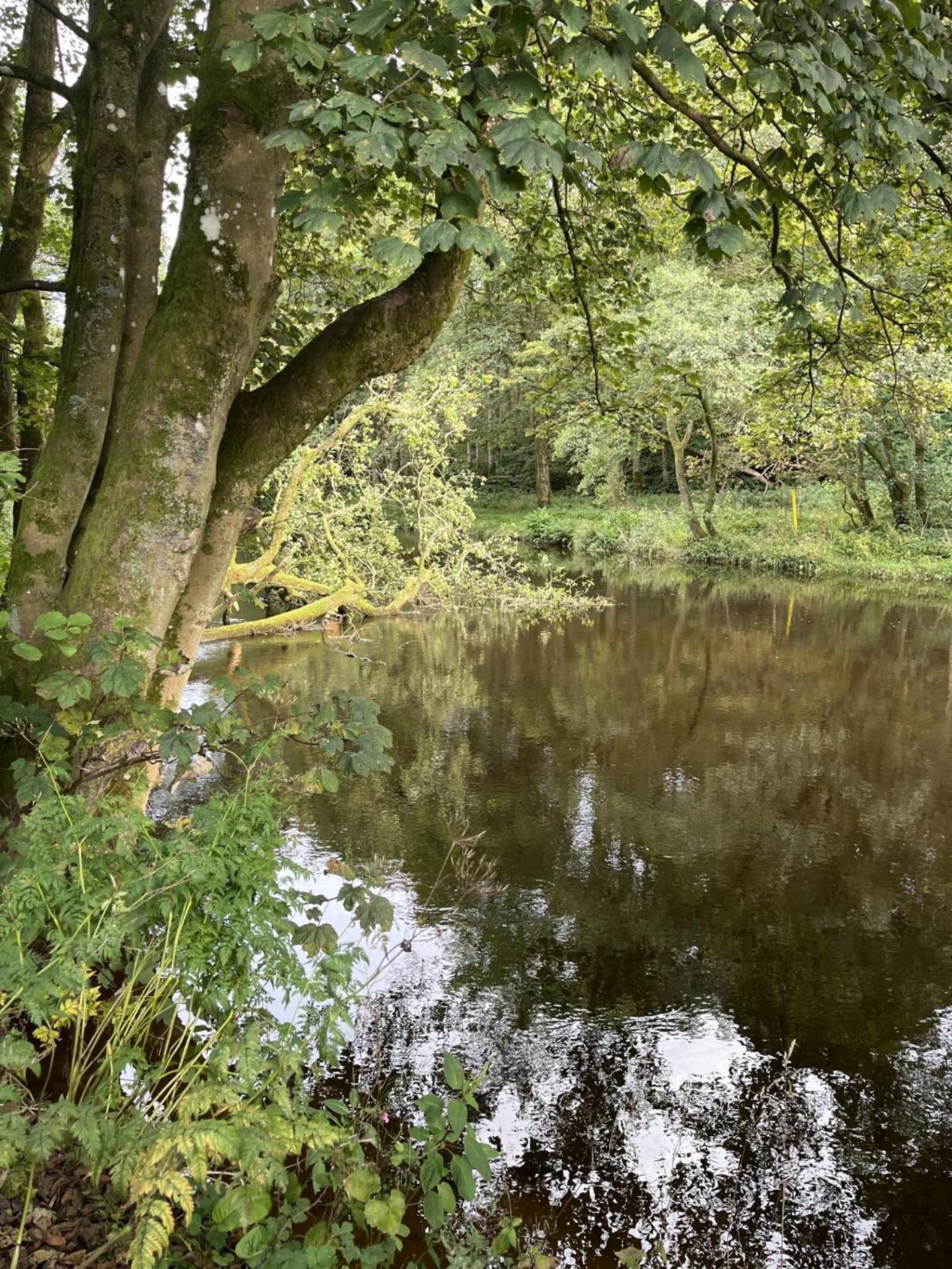 Riverbank Lodge 달러 외부 사진